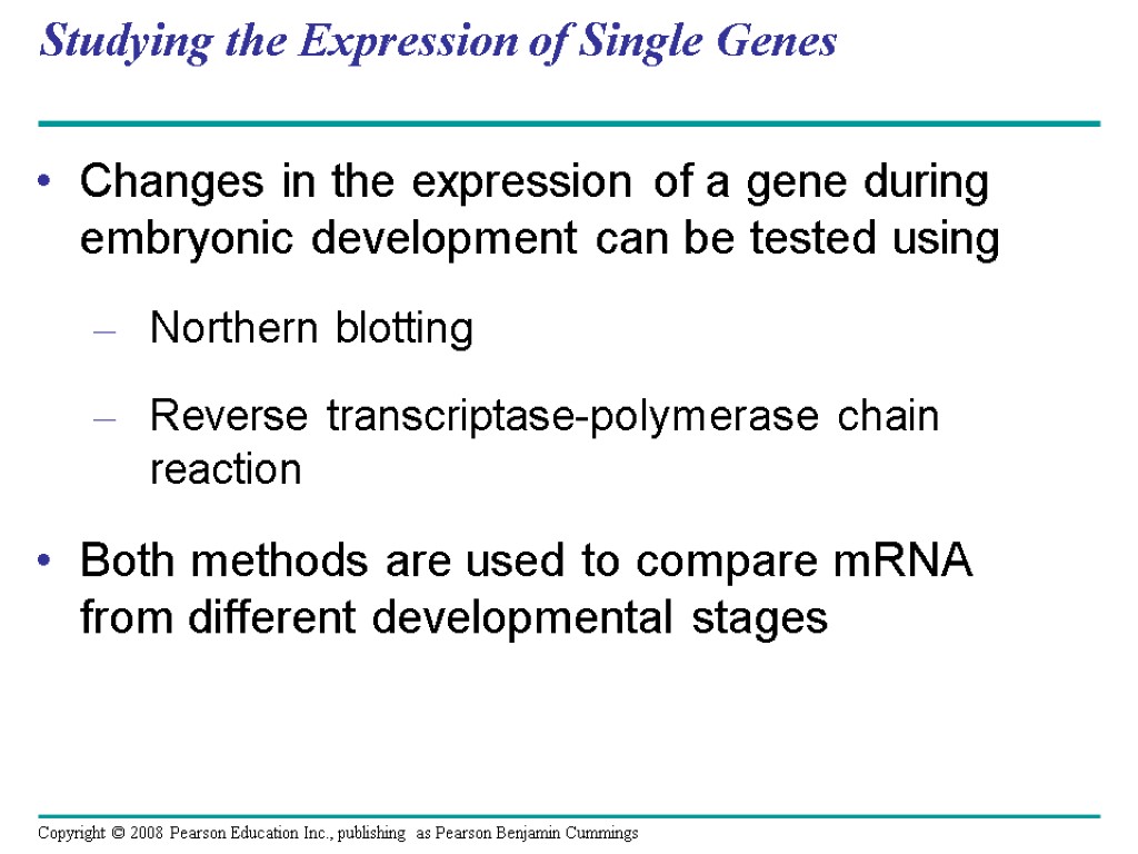 Studying the Expression of Single Genes Changes in the expression of a gene during